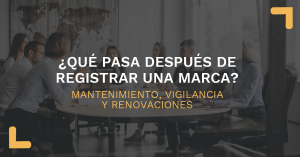 QUE PASA DESPUES DE REGISTRAR UNA MARCA  MANTENIMIENTO VIGILANCIA Y RENOVACIONES